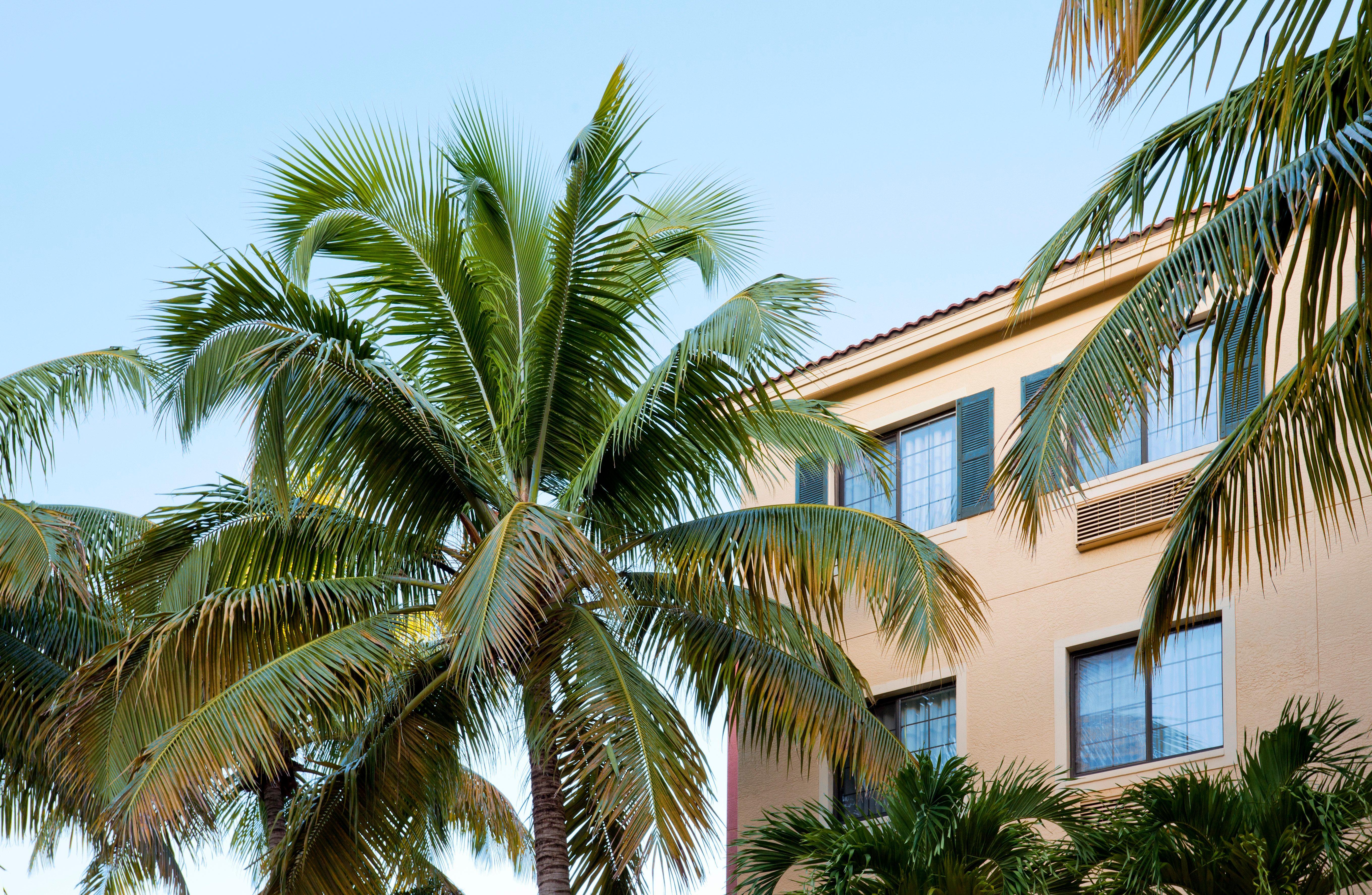 Staybridge Suites Naples - Gulf Coast, An Ihg Hotel Dış mekan fotoğraf